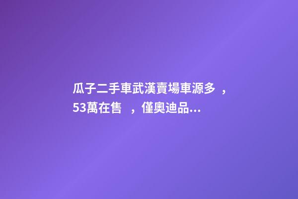 瓜子二手車武漢賣場車源多，5.3萬在售，僅奧迪品牌就有3000多輛